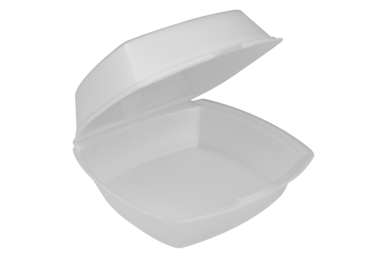 Take Out Foam Sandwich  Container 6x6x3 500/Case 